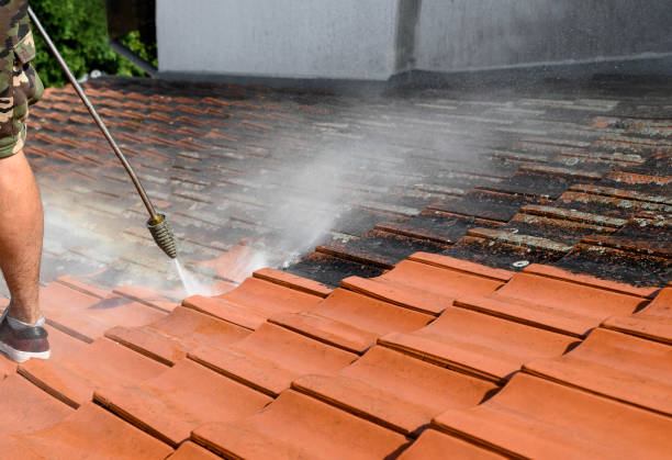 Roof Power Washing Services in Woodville, MS