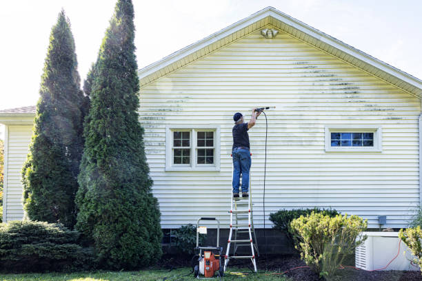 Best Affordable Power Washing  in Woodville, MS