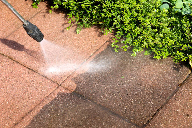 Best Local Pressure Washing Services  in Woodville, MS